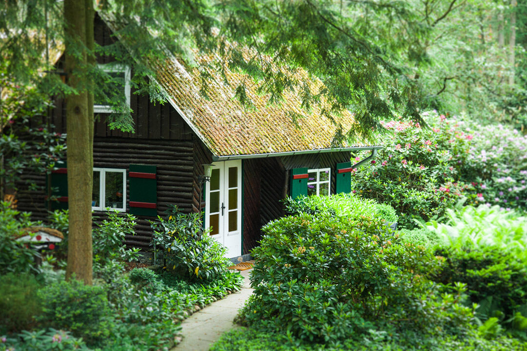 Holz-Ferienhaus mit grünen Fensterläden zwischen Bäumen und Sträuchern